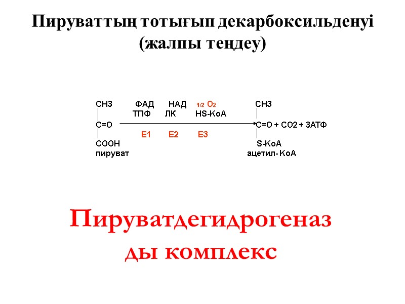 Пируваттың тотығып декарбоксильденуі (жалпы теңдеу) Пируватдегидрогеназды комплекс